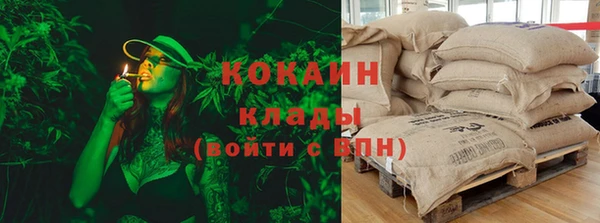 мдпв Богородск