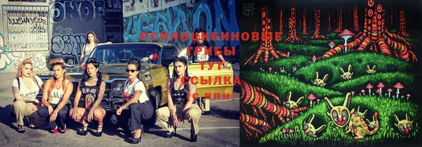 марки nbome Беломорск