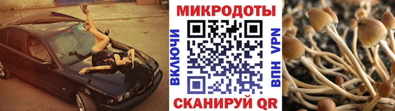 Галлюциногенные грибы Cubensis  кракен сайт  Валуйки 